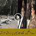 Indian Media Barking Against Pakistani Drone Buraq