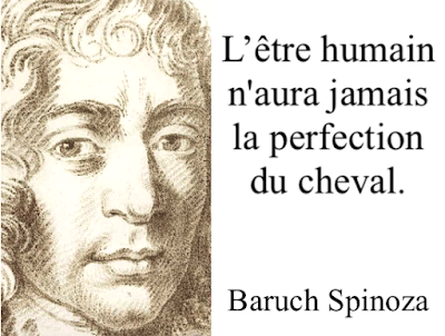 https://fr.wikipedia.org/wiki/Baruch_Spinoza