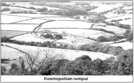 Pola persebaran geografis secara luas