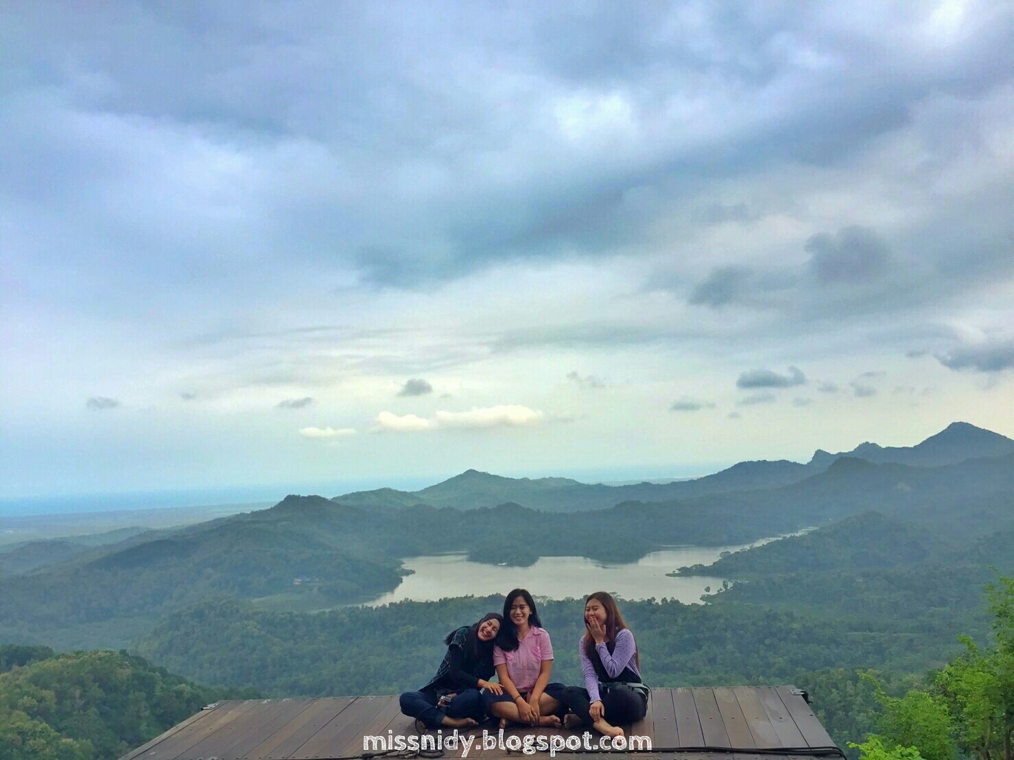 foto di atas pohon di jogja