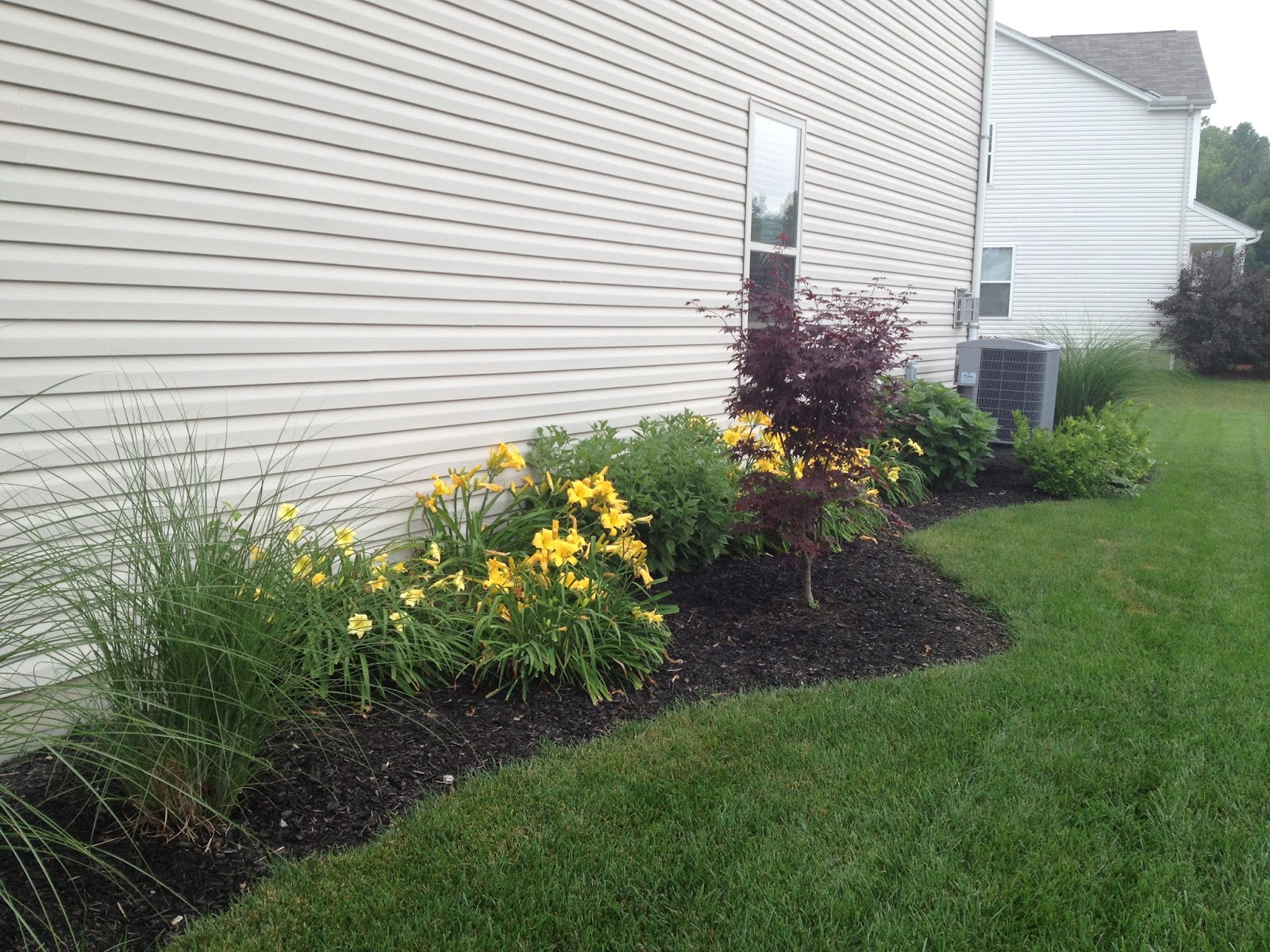 MY LIFE BY DESIGN: landscaping update: The side yard....