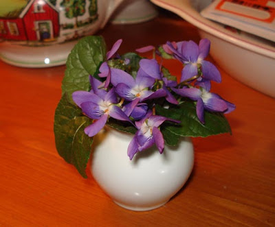 Violets in a tiny vase