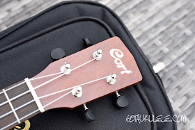 Cort UKE-BWC Ukulele headstock