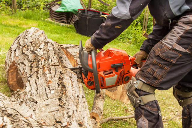 Stump Removal In LA