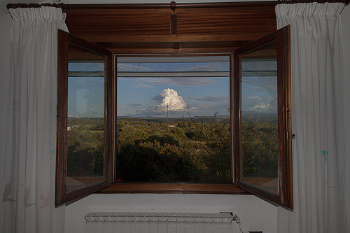 Lesley Ann Ercolano - photo of photo of landscape behind window