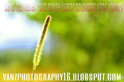 cara membuat foto bokeh | foto bokeh