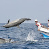 Dolphin Watching in Kalpitiya