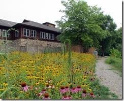 Back Yard of the Visitor Center for Kerr Scott Reservoir COE