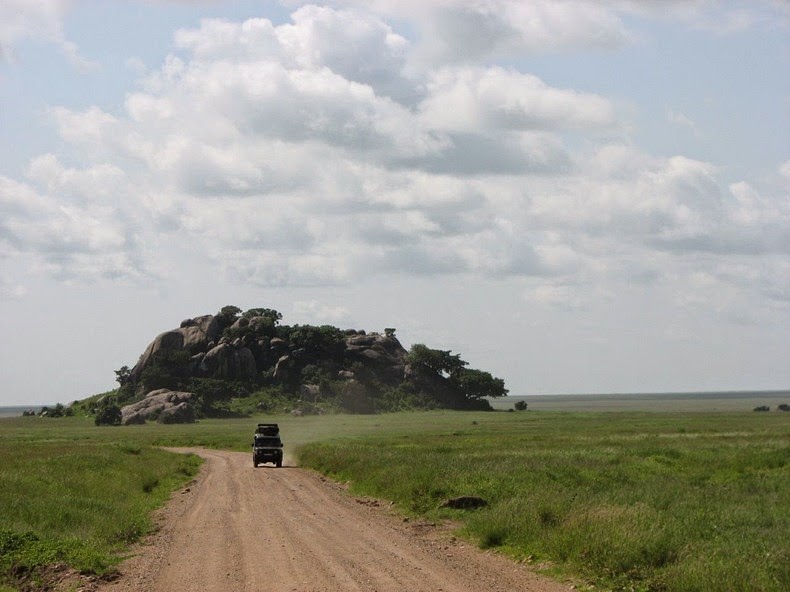 kopje-serengeti-8