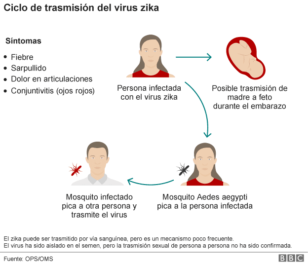 Virus del Zika, Sintomas del zika, Tiempo de incubacion del virus zika, como prevenirse del zika, tratamiento del virus del zika, todo sobre el Zika, 