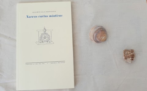 «Nuevas cartas náuticas», de Adalber Salas Hernández (Editorial Pre-textos)