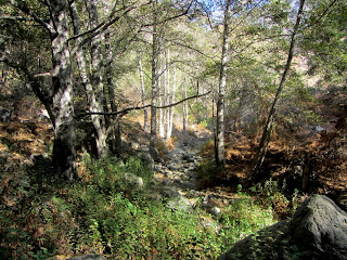 Fish Creek in autumn as seen from Fish Canyon Trail, Angeles National Forest