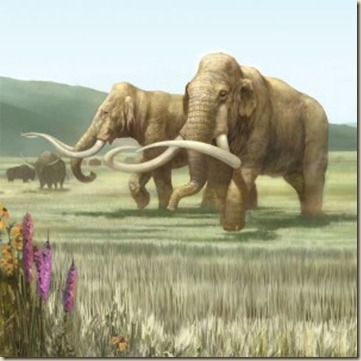mamut3