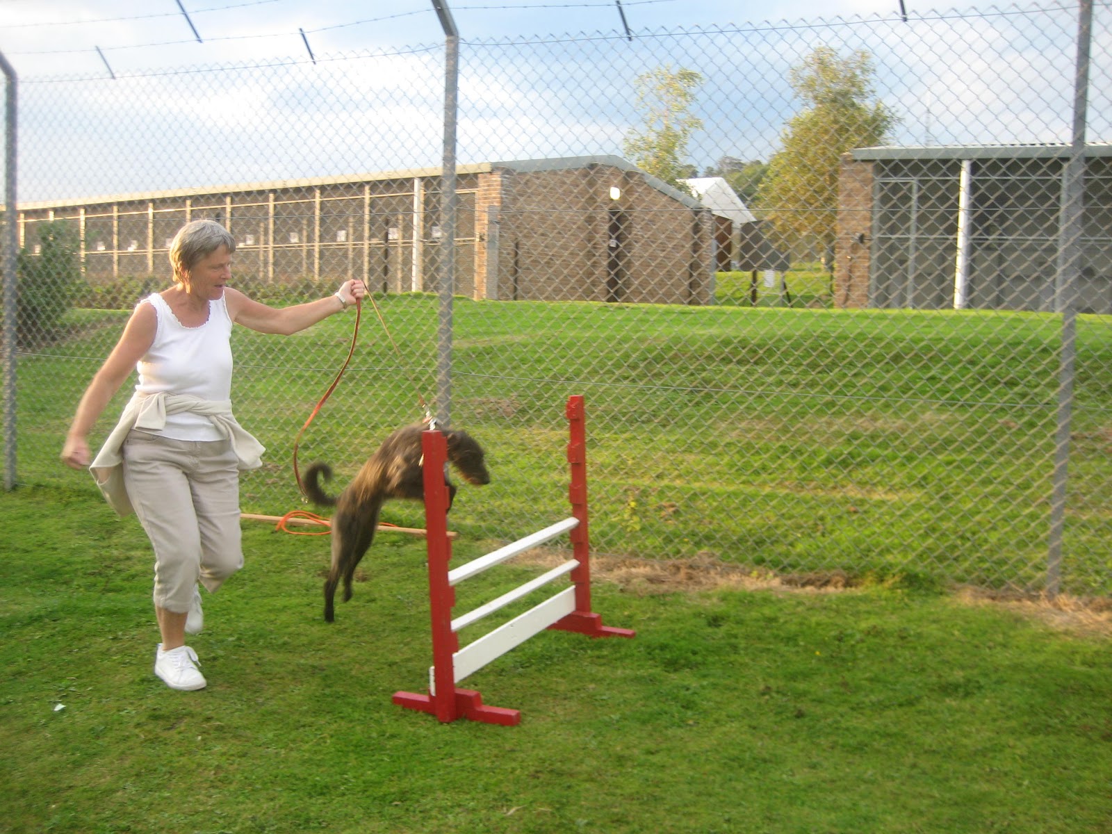 Prince Rock Dog Training &amp; Agility Club, Plymouth: Another ...