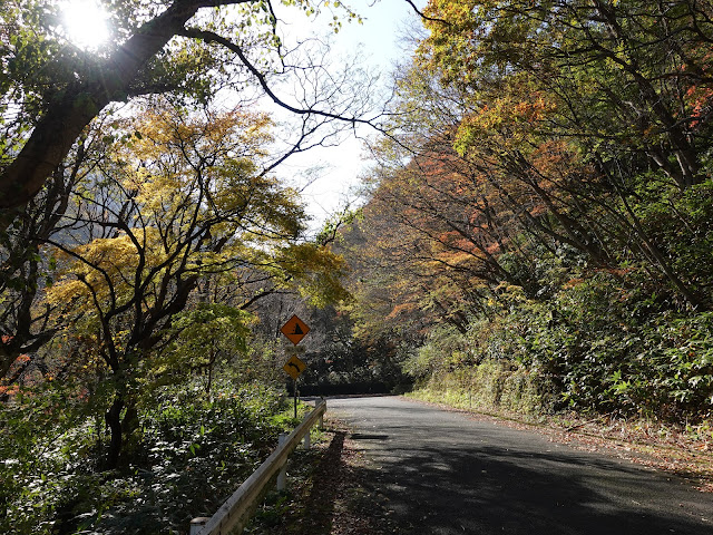 帰るみちすがら紅葉が綺麗です　鳥取県西伯郡大山町大山の大山環状道路