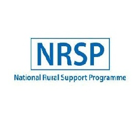Latest Jobs  in National Rural  Support Program NRSP 2021 -All Over Pakistan 