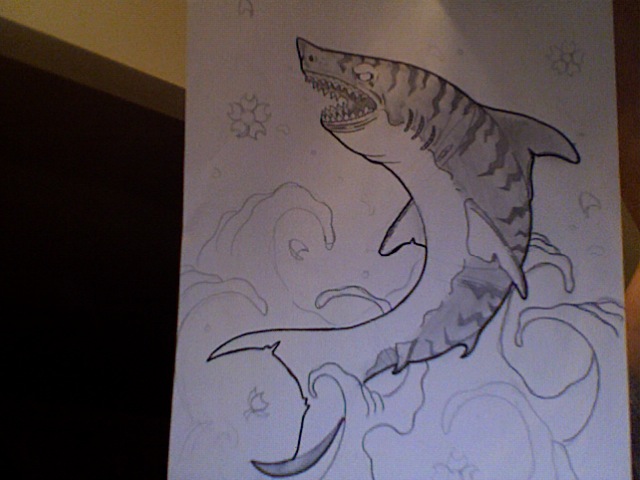 tiger shark tattoo.woulda been way cooler if i had him eating a baby seal 