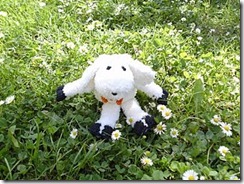 BILD0190