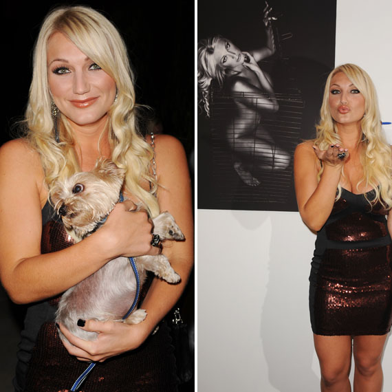 art graphics,Brooke Hogan PETA Campaign