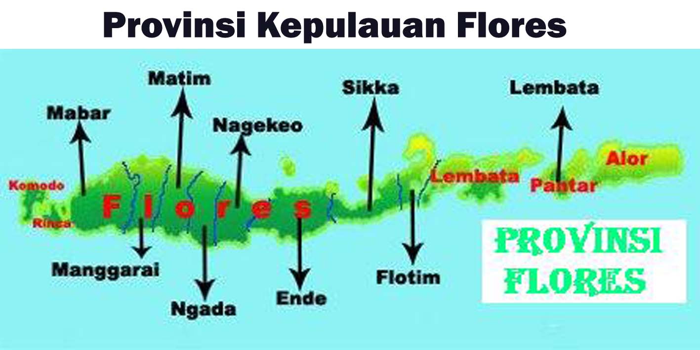 provinsi flores