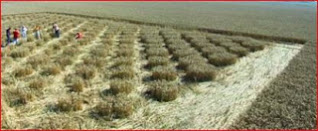 crop formation; chilbolton; chilbolton observatory; closer look; weird; scary, crop formation; chilbolton; chilbolton observatory;alien; extra terrestrial, about crop circles, man made crop circles, alien made crop circles, are aliens real, weird aliens