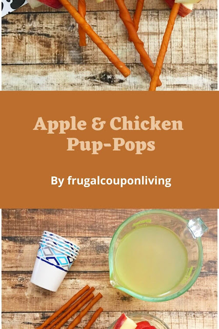 Apple And Chicken Pup-Pops Dog Treat