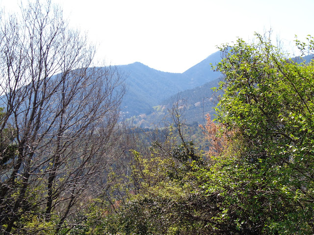 孝霊山