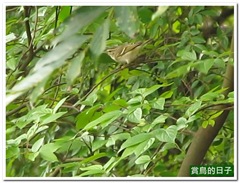 20110318_002_BotanicalGarden