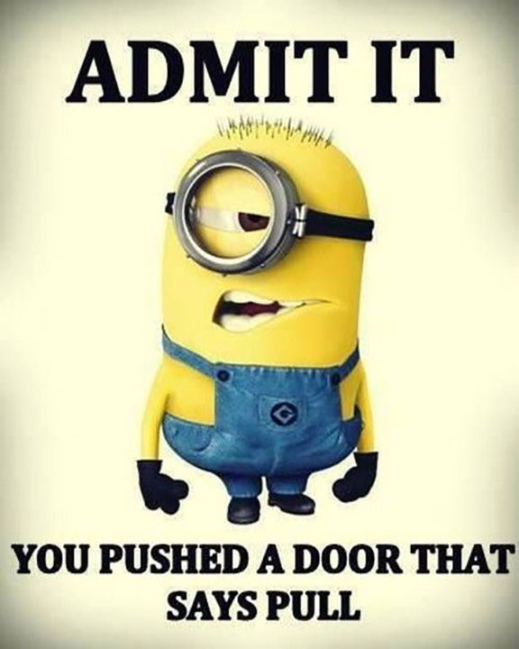 Important Inspiration Really Funny Minion Quotes, Funny Quotes