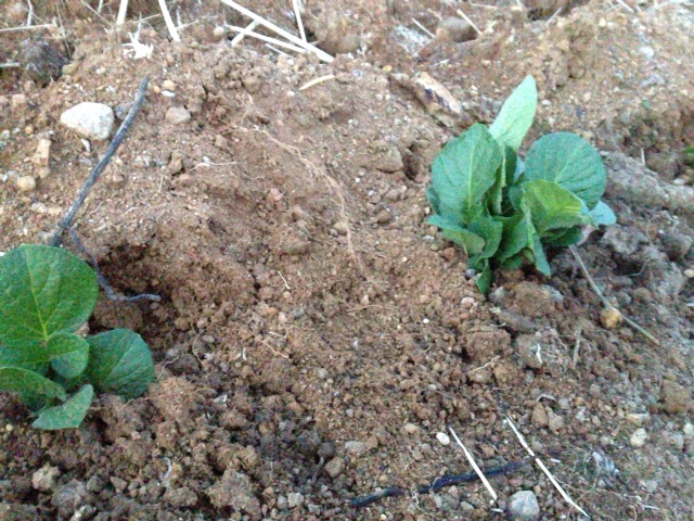 2012-10-27 17.15.01.jpg