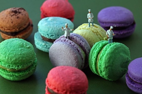 macaron bakers