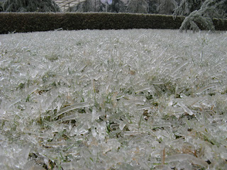 garden of ice shard