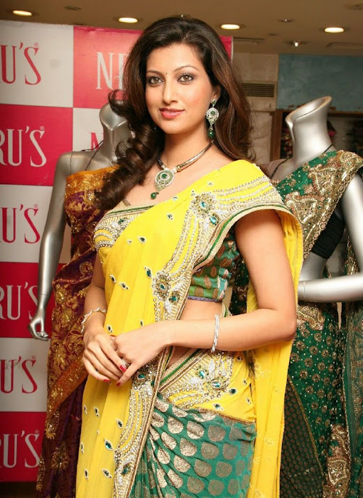 hamsa nandini saree at neeru