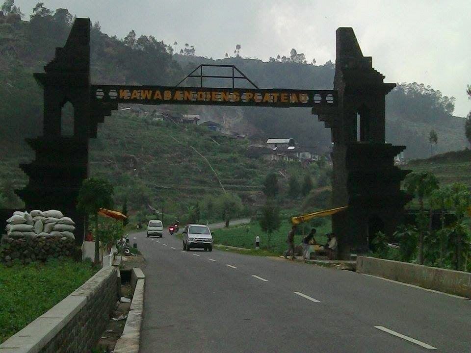 KENTANG DARI DATARAN TINGGI DIENG