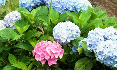 20130622_103855