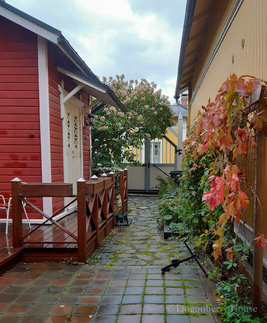 lingonberryhouse, syksy, autumn, koti, home, puutarha, garden, ruska