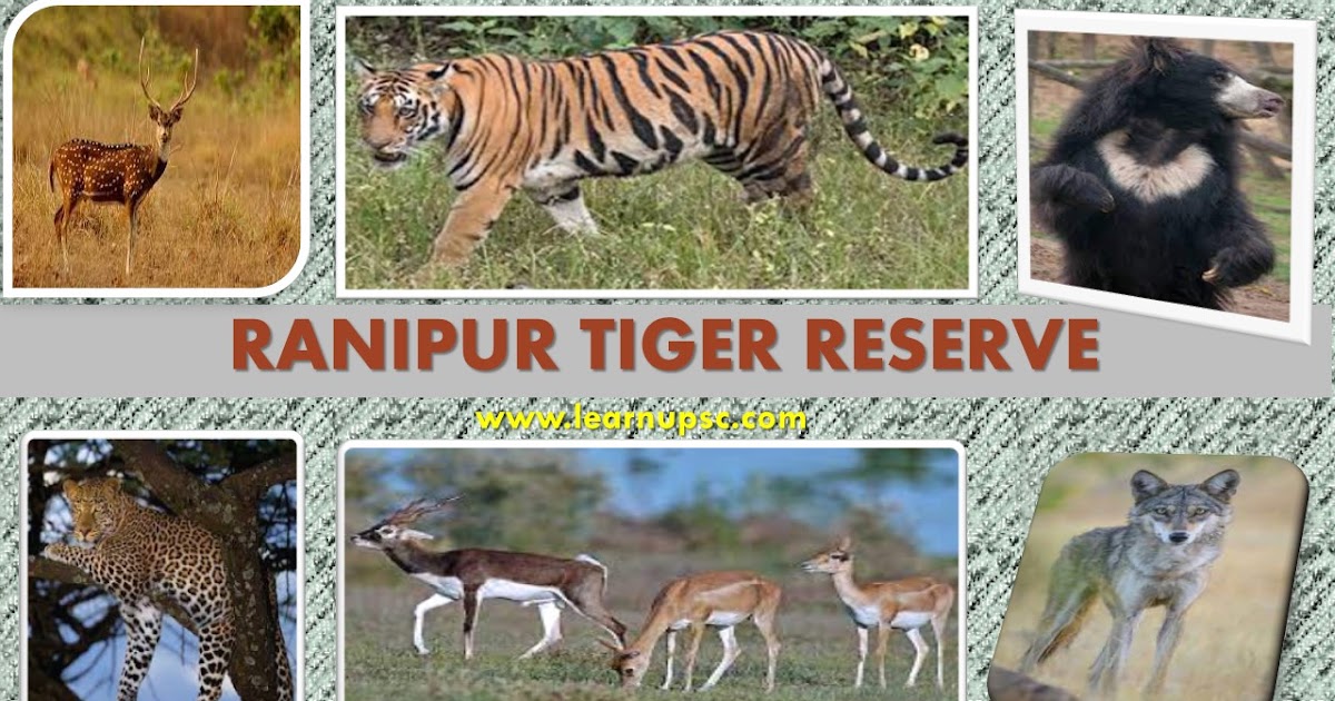 Ranipur Tiger Reserve - Learn UPSC