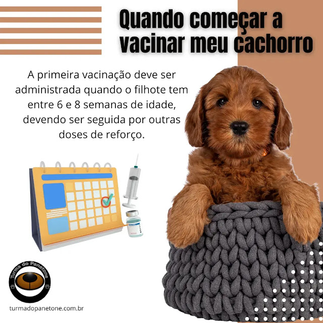 Quando começar a vacinar meu cachorro