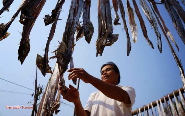 Processing dried largehead hairtails in central Vietnam 7