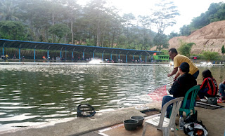  pasti anda memancing menggunakan umpan yang khusus biar si ikan mas mudah ditangkap Nah ! Umpan Ikan Mas Essen Terbaik Dan Murah Meriah