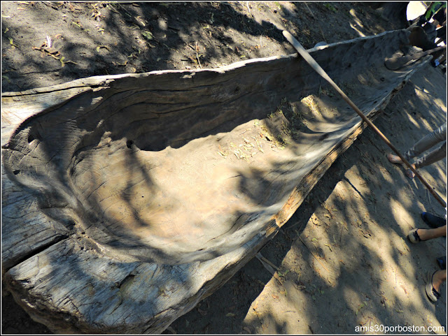 Wampanoag Homesite en la Plimoth Plantation: Construcción de Canoas 