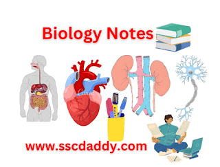 Class 11, 12 Biology Notes In Hindi