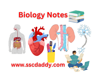 Class11,12 Biology Notes|Biology In Hindi|Definition