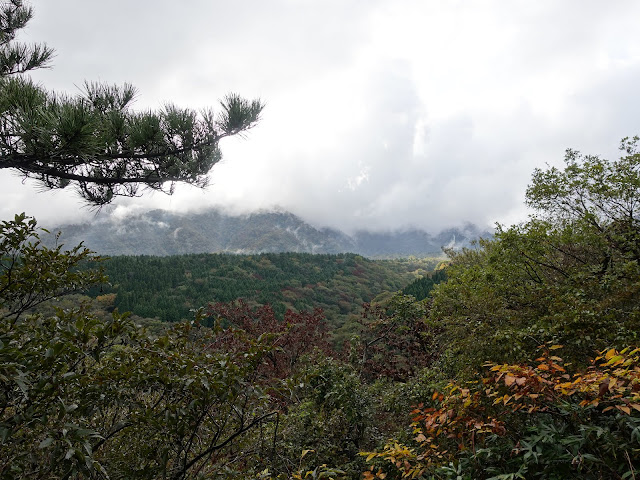 大休峠入り口に向かう山道　美しい大山の森