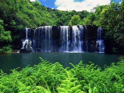 beautiful water fall collections pictures