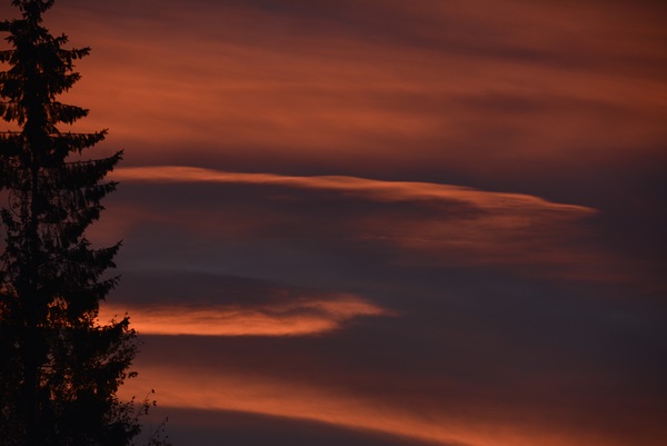 solnedgang