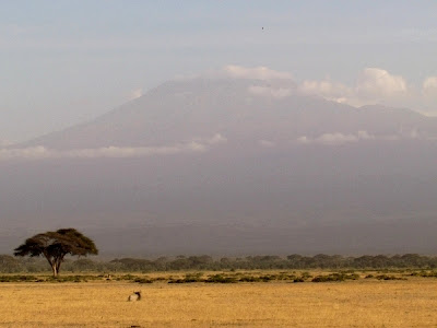 kilimanjaro, kenya, africa, Africa, África, paisatge africa, paisaje africa