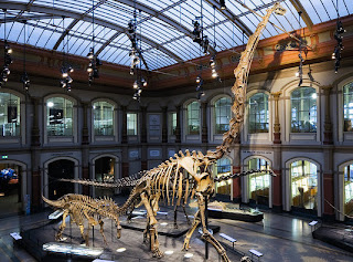 museum fuer naturkunde 5 Museum Dinosaurus Paling Keren di Dunia yours inform