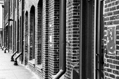 IMG_4806-2