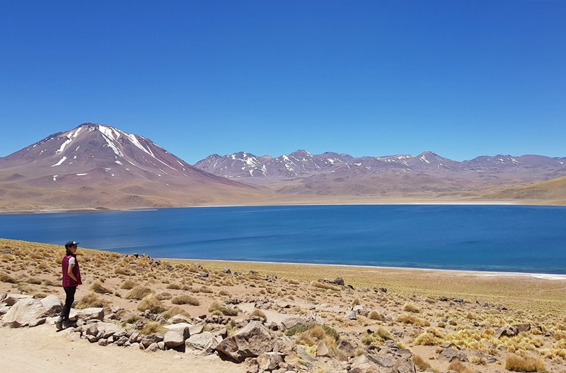 Tour Lagunas Altiplânicas e Piedras Rojas